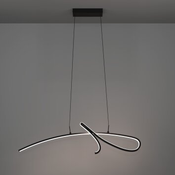 CARDONCITO Suspension Luminaires Eglo LED Noir, Changeur de couleurs