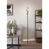 CASTELPOTO Lampadaire Luminaires Eglo LED Laiton, Noir