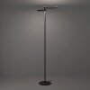 EGLO Lampadaire Luminaires Eglo LED Noir