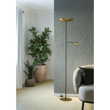 CONIVARINO Lampadaire Luminaires Eglo LED Laiton, Noir