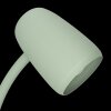 BOYAL Plafonnier Luminaires Eglo LED Brun, Noir