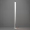 BOLOGNANO-Z Lampadaire Luminaires Eglo LED Gris, Changeur de couleurs