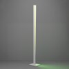 BOLOGNANO-Z Lampadaire Luminaires Eglo LED Gris, Changeur de couleurs