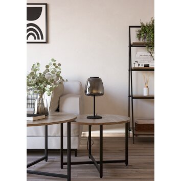 ALFERO-Z Lampe à poser Luminaires Eglo LED Noir, Changeur de couleurs