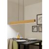 ANCHORENA-Z Suspension Luminaires Eglo LED Brun, Noir, Changeur de couleurs