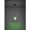 MOLOCHIO-Z Suspension Luminaires Eglo LED Noir, Changeur de couleurs