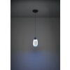 MOLOCHIO-Z Suspension Luminaires Eglo LED Noir, Changeur de couleurs