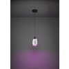 MOLOCHIO-Z Suspension Luminaires Eglo LED Noir, Changeur de couleurs