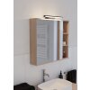 REGELLO-Z Lampe de miroir Luminaires Eglo LED Noir, Changeur de couleurs