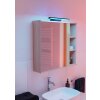 REGELLO-Z Lampe de miroir Luminaires Eglo LED Noir, Changeur de couleurs