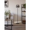 ALFERO-Z Lampadaire Luminaires Eglo LED Noir, Changeur de couleurs