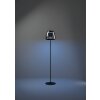 ALFERO-Z Lampadaire Luminaires Eglo LED Noir, Changeur de couleurs