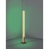 ANCHORENA-Z Lampadaire Luminaires Eglo LED Brun, Noir, Changeur de couleurs