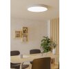 GALLIZZI-Z Plafonnier Luminaires Eglo LED Blanc, Changeur de couleurs