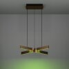 FOLCINO-Z Suspension Luminaires Eglo LED Bronze, Noir, Changeur de couleurs