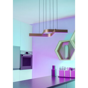 FOLCINO-Z Suspension Luminaires Eglo LED Bronze, Noir, Changeur de couleurs