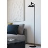 CONOMAVILLA-Z Lampadaire Luminaires Eglo LED Noir, Changeur de couleurs