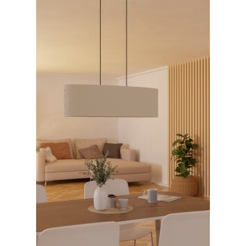 FEBRES Suspension Luminaires Eglo Noir FEBRES Suspension Luminaires Eglo Noir