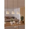 FEBRES Suspension Luminaires Eglo Noir