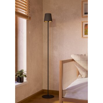 FIORANA Lampadaire Luminaires Eglo Noir