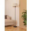 FEBRES Lampadaire Luminaires Eglo Noir