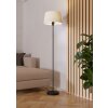 FEBRES Lampadaire Luminaires Eglo Noir
