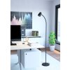 CARLO Lampadaire Luminaires Eglo Noir