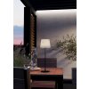 LEONERO Lampe à poser Luminaires Eglo LED Noir, Télécommandes