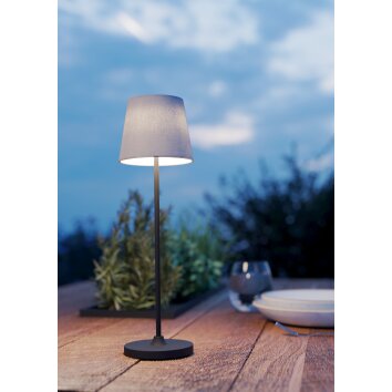 LEONERO Lampe à poser Luminaires Eglo LED Noir, Télécommandes