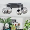 Chehalis Plafonnier, Boule lumineuse Fumé, 4 lumières