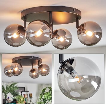 Chehalis Plafonnier, Boule lumineuse Fumé, 4 lumières