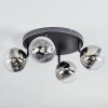 Chehalis Plafonnier, Boule lumineuse Chrome, Clair, Fumé, 4 lumières