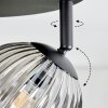 Chehalis Plafonnier, Boule lumineuse Ambre, Fumé, 4 lumières