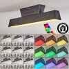 Tarin Plafonnier LED Noir, 1 lumière, Changeur de couleurs
