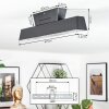 Tarin Plafonnier LED Noir, 1 lumière, Changeur de couleurs