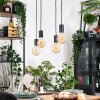Donel Suspension, Suspension Écru, Noir, 4 lumières