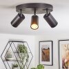 Foren Plafonnier, Spot de plafond LED Noir, 3 lumières, Changeur de couleurs Foren Plafonnier, Spot de plafond LED Noir, 3 lumières, Changeur de couleurs