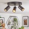 Foren Plafonnier, Spot de plafond LED Noir, 3 lumières, Changeur de couleurs