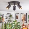 Foren Plafonnier, Spot de plafond LED Noir, 3 lumières, Changeur de couleurs