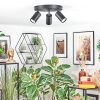 Foren Plafonnier, Spot de plafond LED Noir, 3 lumières, Changeur de couleurs