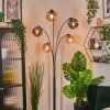 Ripoll Boule lumineuse, Lampadaire Ambre, Fumé, 5 lumières