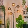 Ripoll Boule lumineuse, Lampadaire Ambre, Fumé, 5 lumières