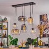 Apedo Suspension, Suspension Ambre, Clair, Fumé, 6 lumières