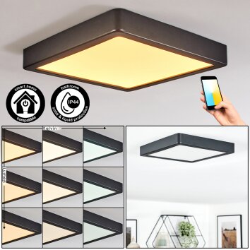 Finsrud Luminaire de salle de bain, Plafonnier, Panel LED Noir, 1 lumière Finsrud Luminaire de salle de bain, Plafonnier, Panel LED Noir, 1 lumière