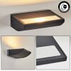 Damor Lampe murale d´extérieur, Applique murale LED Noir, 1 lumière