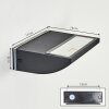 Damor Lampe murale d´extérieur, Applique murale LED Noir, 1 lumière