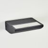 Damor Lampe murale d´extérieur, Applique murale LED Noir, 1 lumière