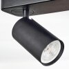 Foren Plafonnier, Spot de plafond LED Noir, 4 lumières, Changeur de couleurs Foren Plafonnier, Spot de plafond LED Noir, 4 lumières, Changeur de couleurs