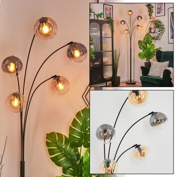 Gastor Boule lumineuse, Lampadaire Ambre, Clair, Fumé, 5 lumières