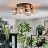 Gastor Plafonnier, Boule lumineuse Ambre, Clair, 4 lumières